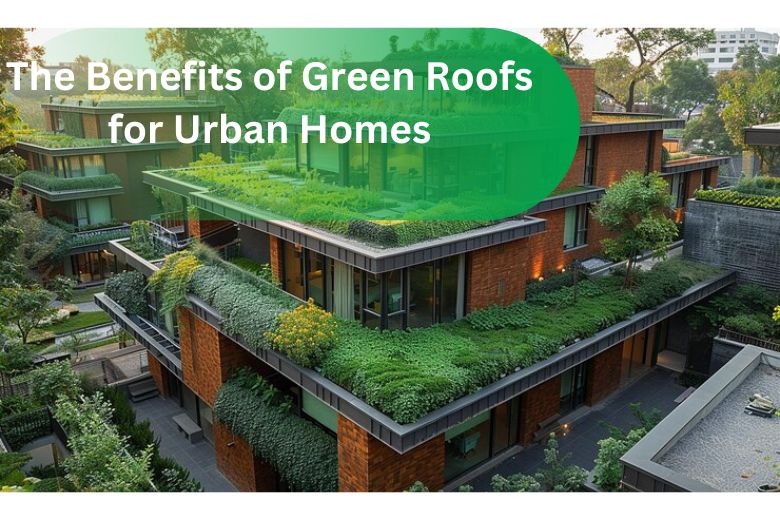 The Benefits of Green Roofs for Urban Homes