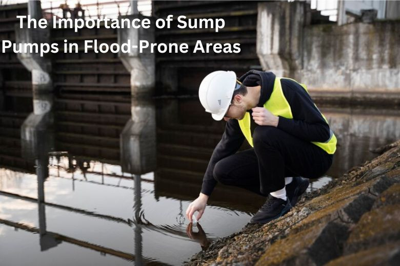 The Importance of Sump Pumps in Flood-Prone Areas