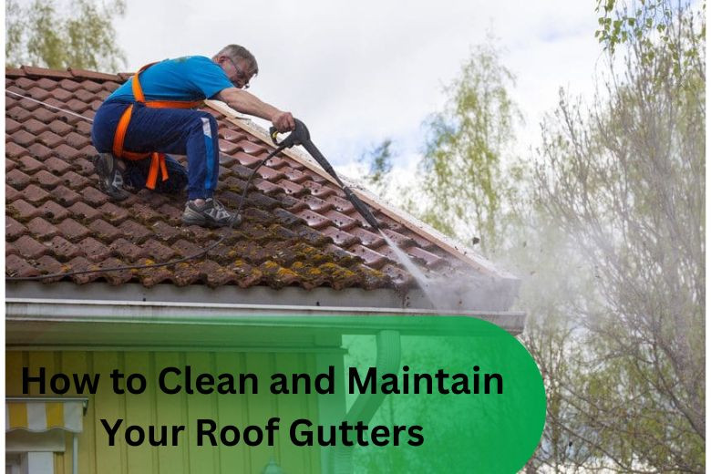 How to Clean and Maintain Your Roof Gutters