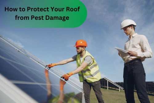 How to Protect Your Roof from Pest Damage