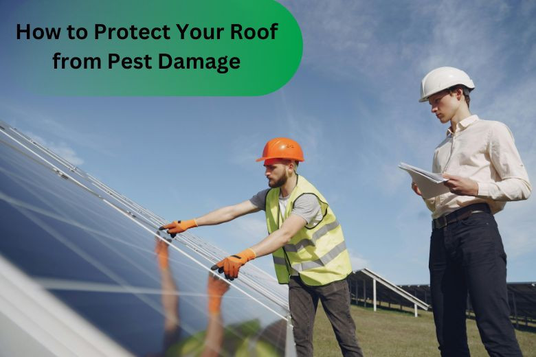 How to Protect Your Roof from Pest Damage