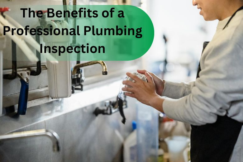 The Benefits of a Professional Plumbing Inspection